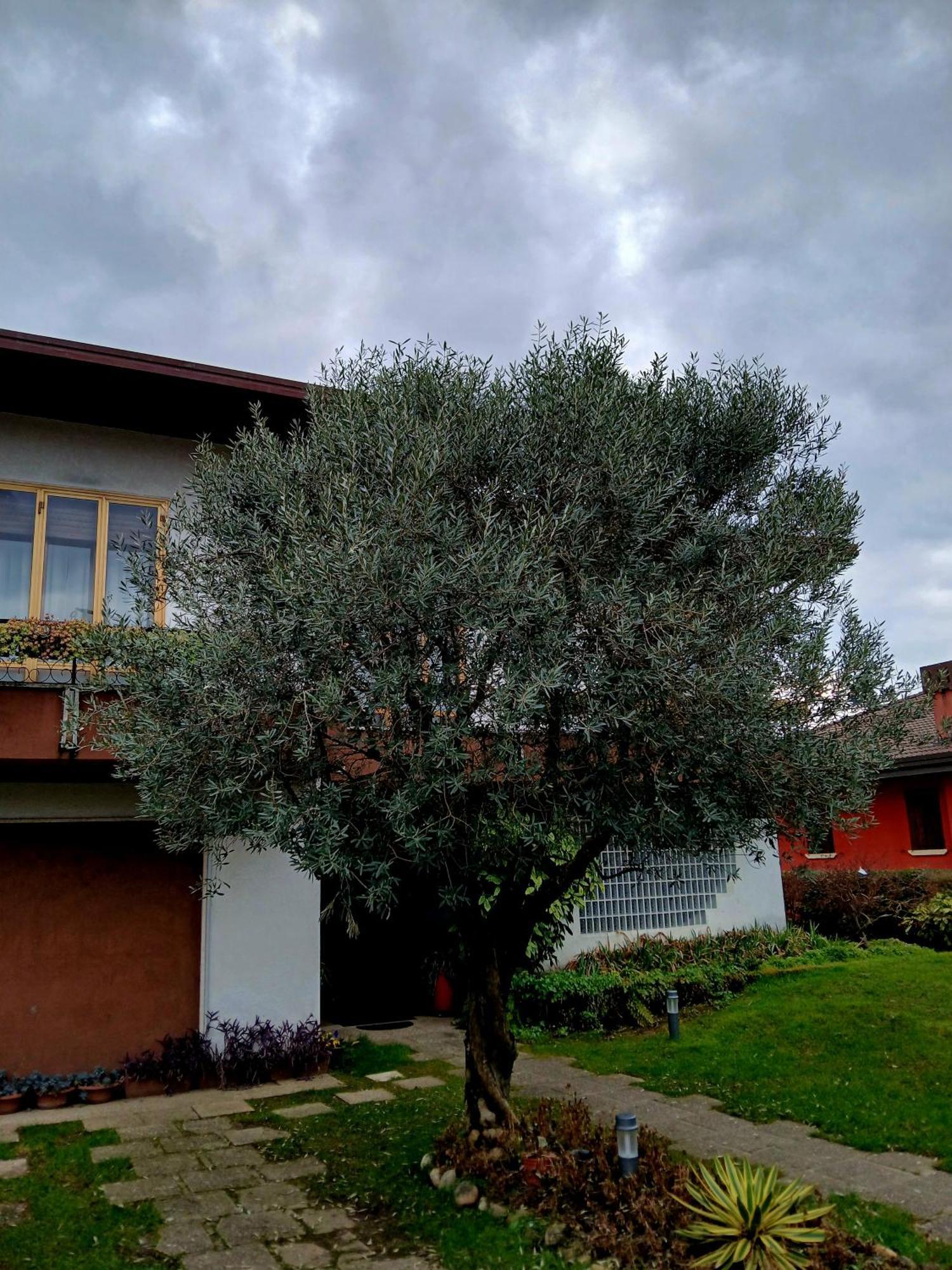 Caldogno B&B Ponte Marchese المظهر الخارجي الصورة