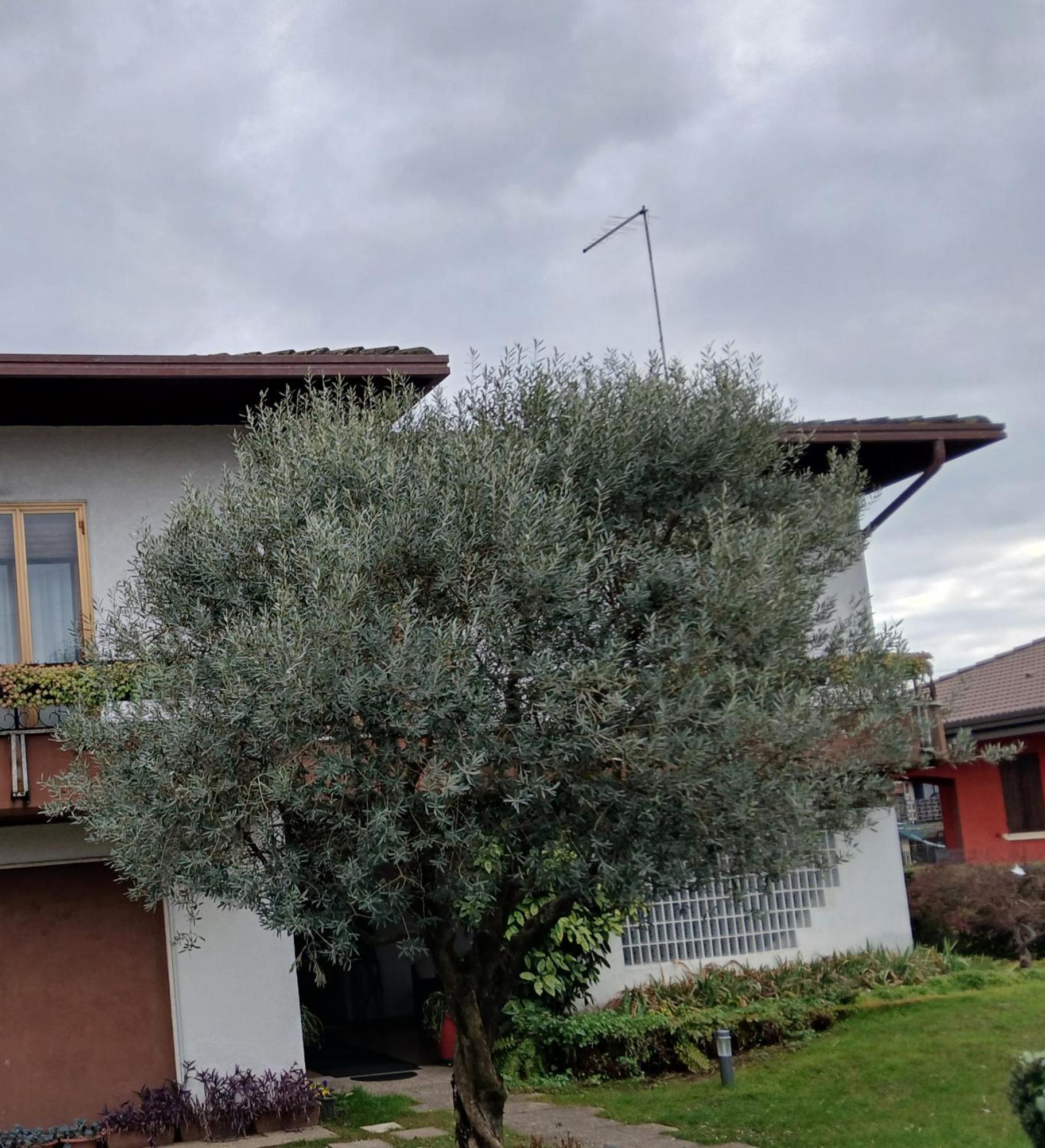 Caldogno B&B Ponte Marchese المظهر الخارجي الصورة